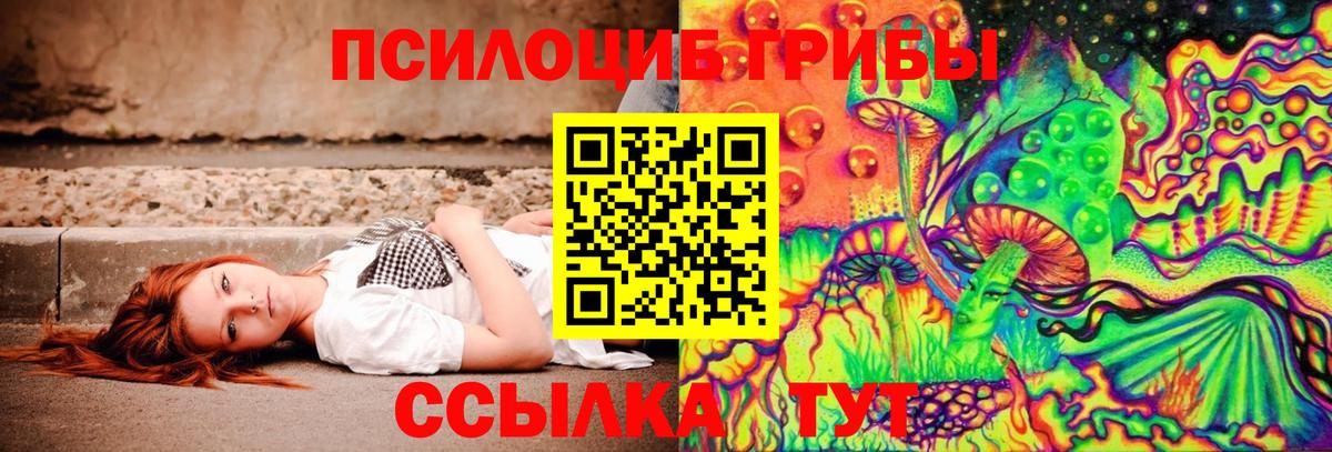 Псилоцибиновые грибы Psilocybe Сарапул
